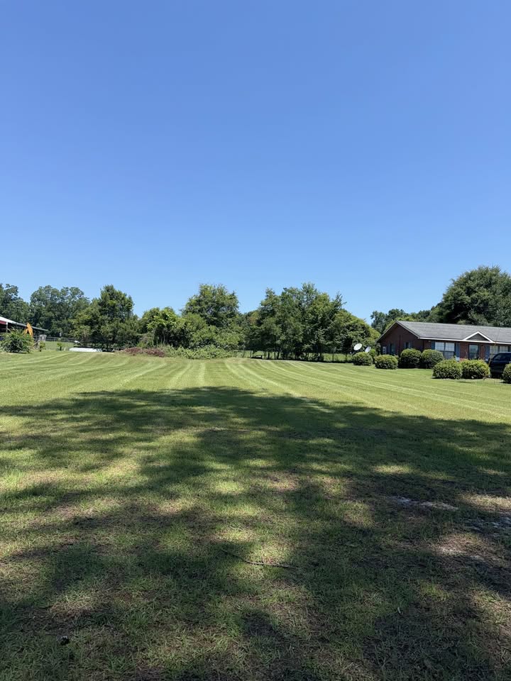 Beautifully manicured lawn by Norris Lawn & Land